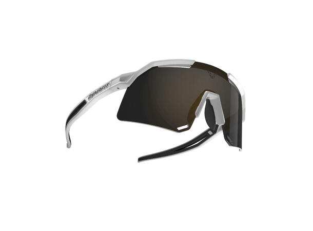 Dynafit Ultra Sunglasses solid cat. 3 
