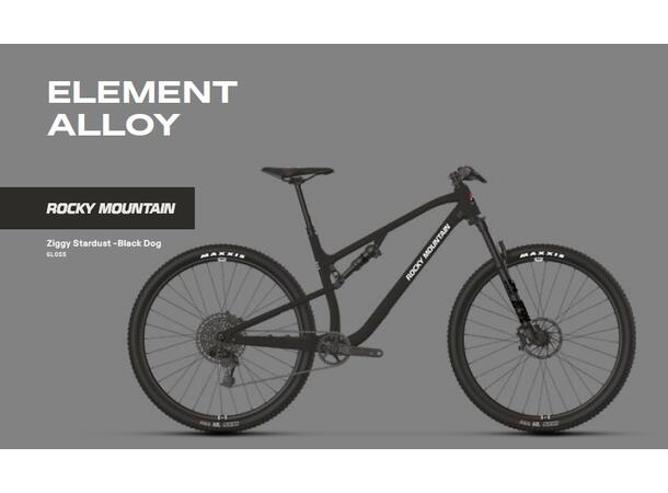 Rocky Mountain Element Alloy grey S 