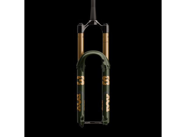 Fox float 38 Factory 29" Grip X2 racing green 170mm 