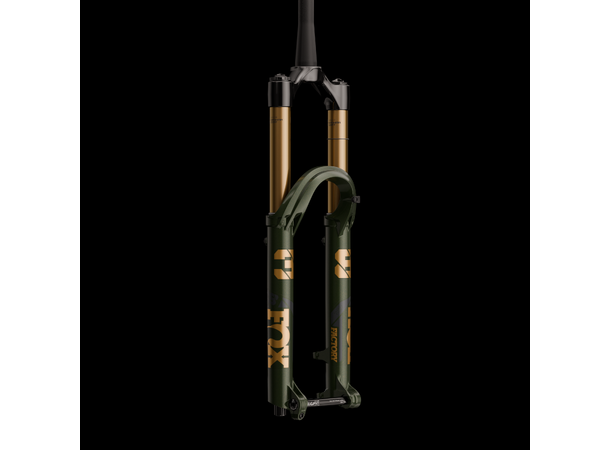 Fox float 38 Factory 29" Grip X2 racing green 170mm 