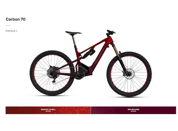 Rocky Mountain Altitude Powerplay C70 C1 Ziggy Stardust XL 