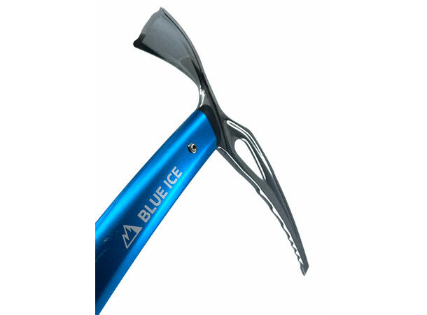 Blue Ice Bluebird 60cm