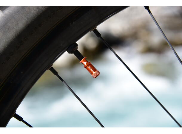 Granite Design Juicy Nipple orange ventilhette med verktøy for ventilkjerne 